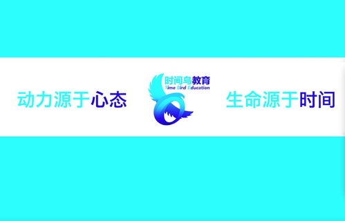 南京時(shí)間鳥(niǎo)教育咨詢 引領(lǐng)未來(lái)，成就卓越